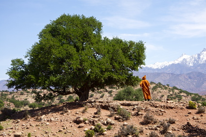 Olej arganový prírodný 100ml BIO Bioplanete