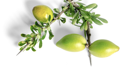 Olej arganový prírodný 100ml BIO Bioplanete