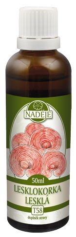 Lesklokôrovka obyčajná - Reishi 50ml, T58 - tinktúra ...