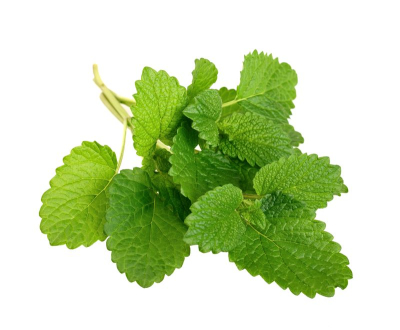 Medovka lekárska - vňať 50g