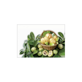 Garcinia ajurvédska káva 100g