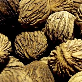 Orech čierny americký 50ml, P38 - tinktúra z púčikov...