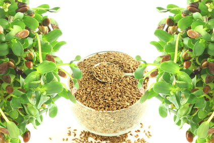 Olej ľanový 250ml Bioplanete