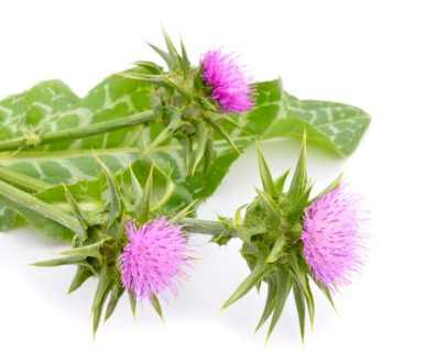 Panenský olej z pestreca mariánskeho 250ml