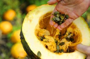 Štajerský tekvicový olej BIO 250ml