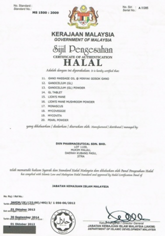 Ganoderma mycelium 100% GL 30x450mg