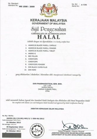 Cordyceps kapsule 60x450mg