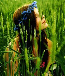 Kto má bolesti a slabosť srdca, nech užije včas dosť galgantu a bude mu lepšie