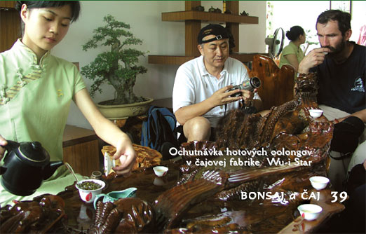 
 Text a foto: RNDr. Vladimír Ondejčík, RNDr. Alena Ondejčíková
 Čajovňa dobrých ľudí, Nitra
 
 Celý článok, bol takto uverejnený v...