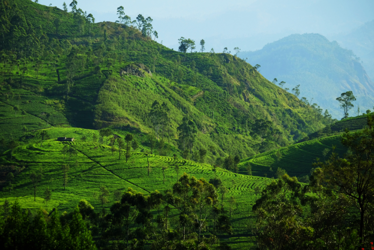 Svätý ostrov
 
 Naše lietadlo urobilo posledný veľký oblúk nad Indickým oceánom a klesalo pomaly dolu. Krídla pretínali husté monzúnov...
