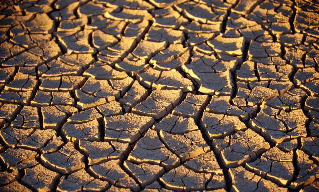 Chválili a využívali ju všetci velikáni medicíny, od Hippokrata, Galéna, Avicenu, Paracelsa, až po naše staré mamy. „Moderná...