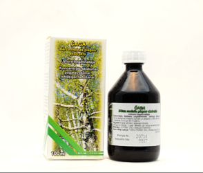 Čaga koncentrát 100