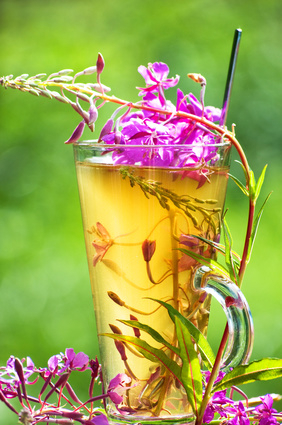 Čo sa v článku o vrbovke úzkolistej dočítate:Výskyt vrbovky úzkolistejÚčinky vrbovky úzkolistejÚčinky vrbovky úzkolistej na...