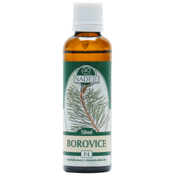 Borovica lesná 50ml, P4 - tinktúra z púčikov rastlín