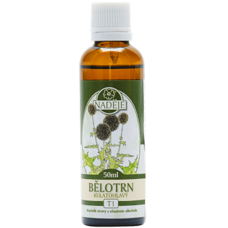 Ježibaba guľatohlavá 50ml, T1 - tinktúra z bylín