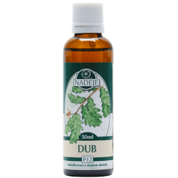 Dub letný 50ml, P12 - tinktúra z púčikov rastlín