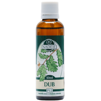 Dub letný 50ml, P12 - tinktúra z púčikov rastlín