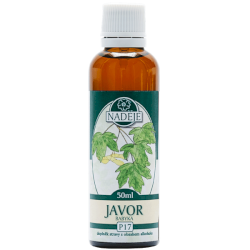 Javor poľný 50ml, P17 - tinktúra z púčikov rastlín